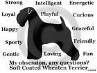 Soft Coated Wheaten Terrier Dog Obsession, Any Questions? T-shirt Choices