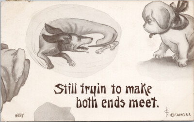 Dog Chasing Tail 'Still Tryin To Make Both Ends Meet' c1910 RPO Postcard F47