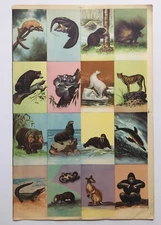 India 50's Chart DIFFERENT TYPES OF ANIMALS 10in x 14in (11724)