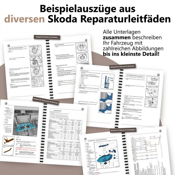 Bild 2 von 7
