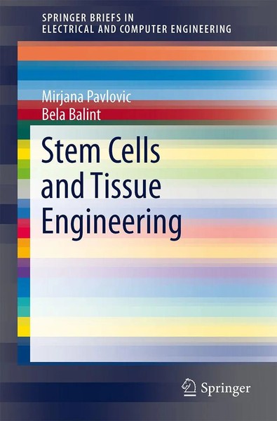 Mirjana Pavlovic (U. A.) | Stem Cells and Tissue Engineering | Taschenbuch | Xii-image