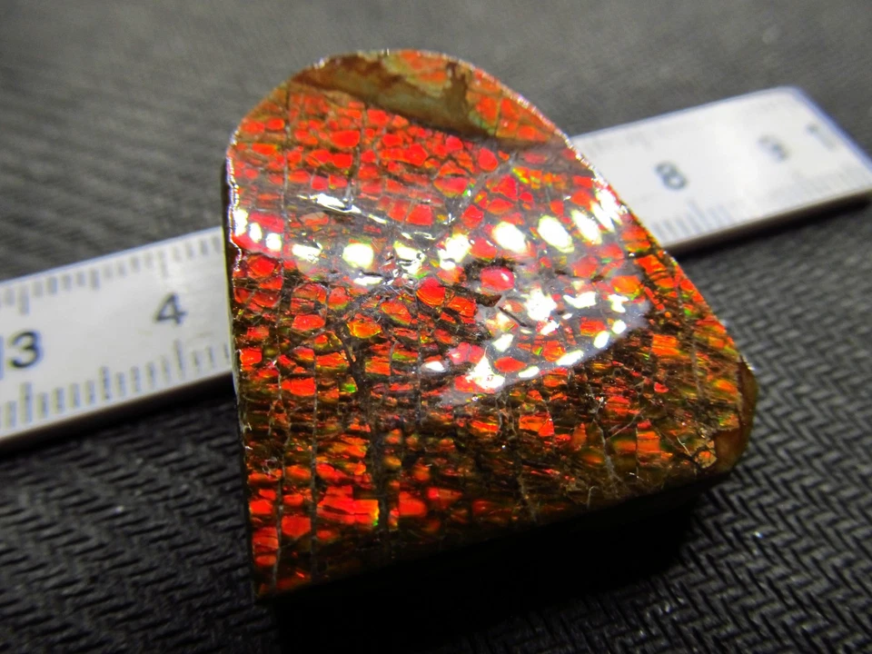 Ammolit Drachenschuppe, Kanada, Maße ca. 32 x 30 x 10 mm, Gewicht 102 Karat! - Bild 2 von 4
