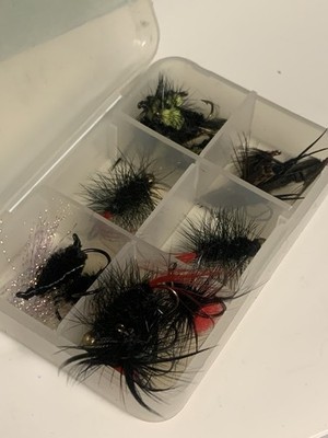 Fly Fishing Lures 17 Pieces in Plastic Storage Box