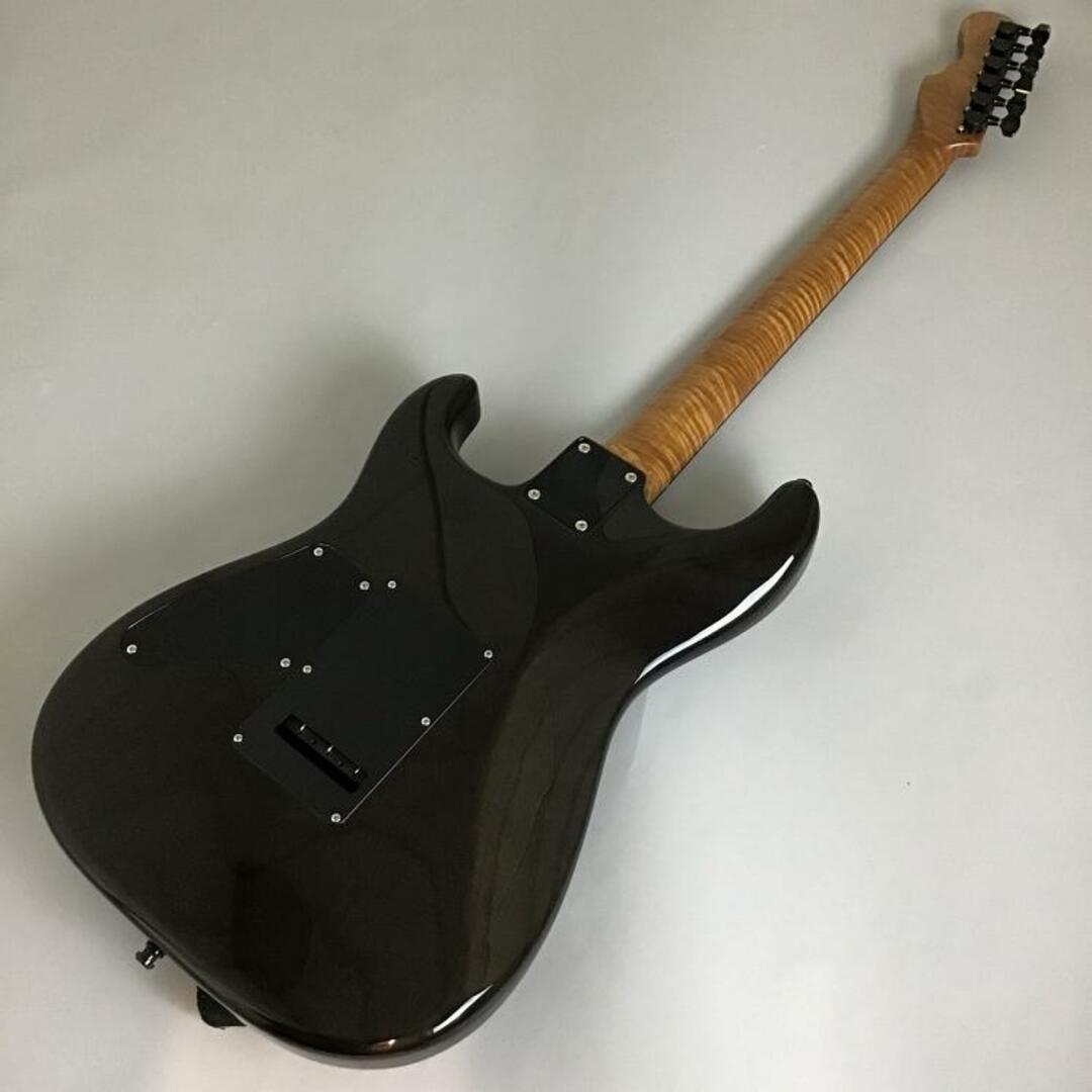 Electric Guitar Momose MC-RESIN '20WSE Blue Burl Maple Top Electric Guitar Momose MC-RESIN '20WSE Blue Burl Maple Top