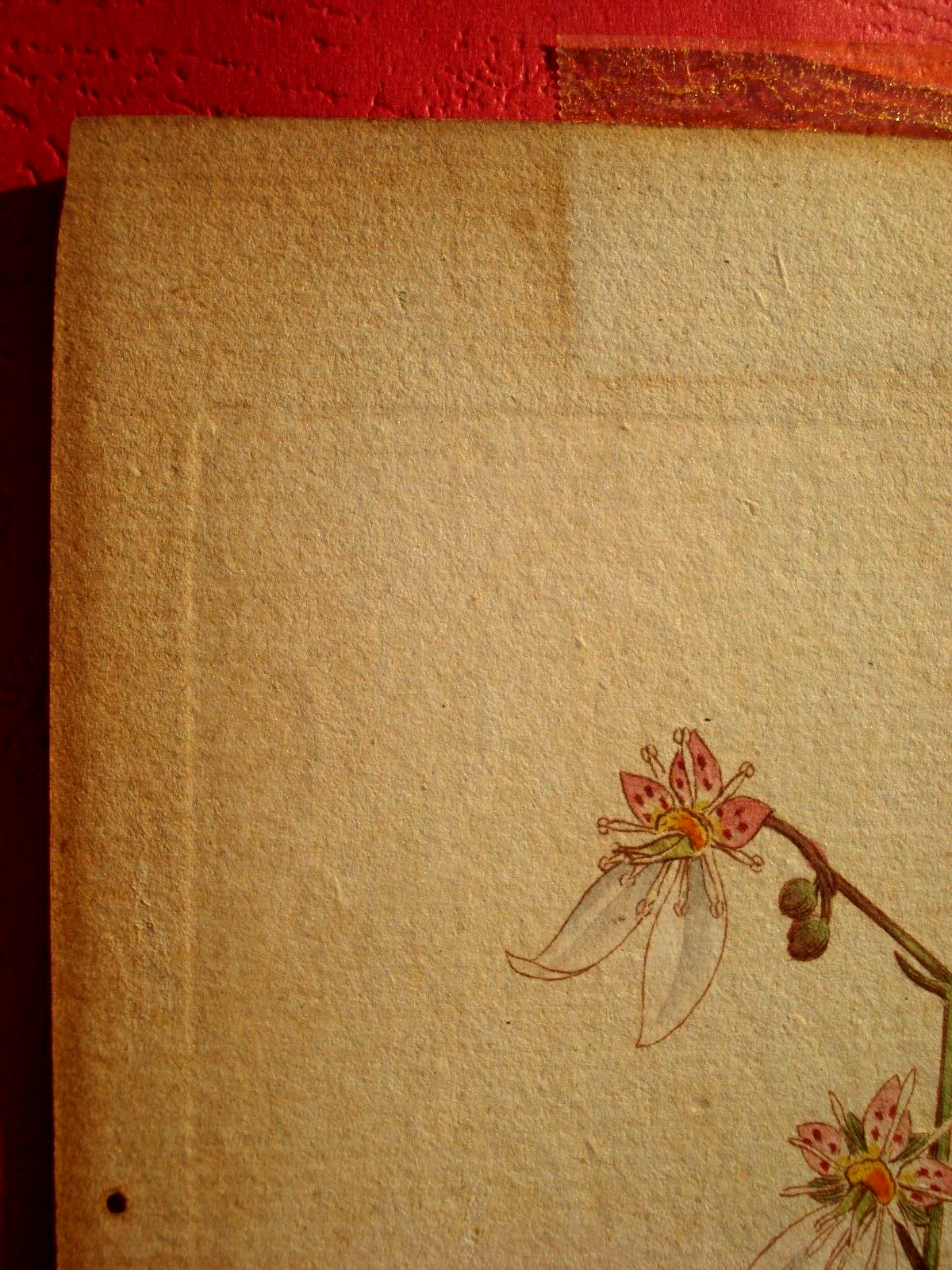 Picture 12 of 24