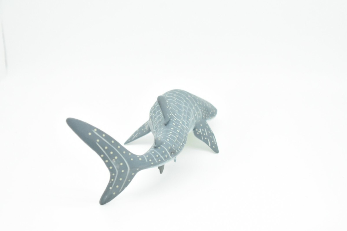 Whale Shark, Museum Quality Plastic Replica 9