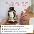 Bild 10 von 18