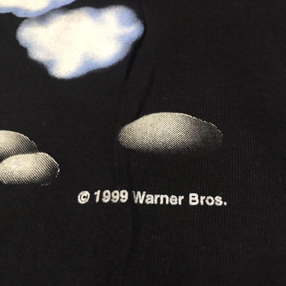 Vintage 1999 Looney Tunes Tweety Bird t shirt WARNER BROS