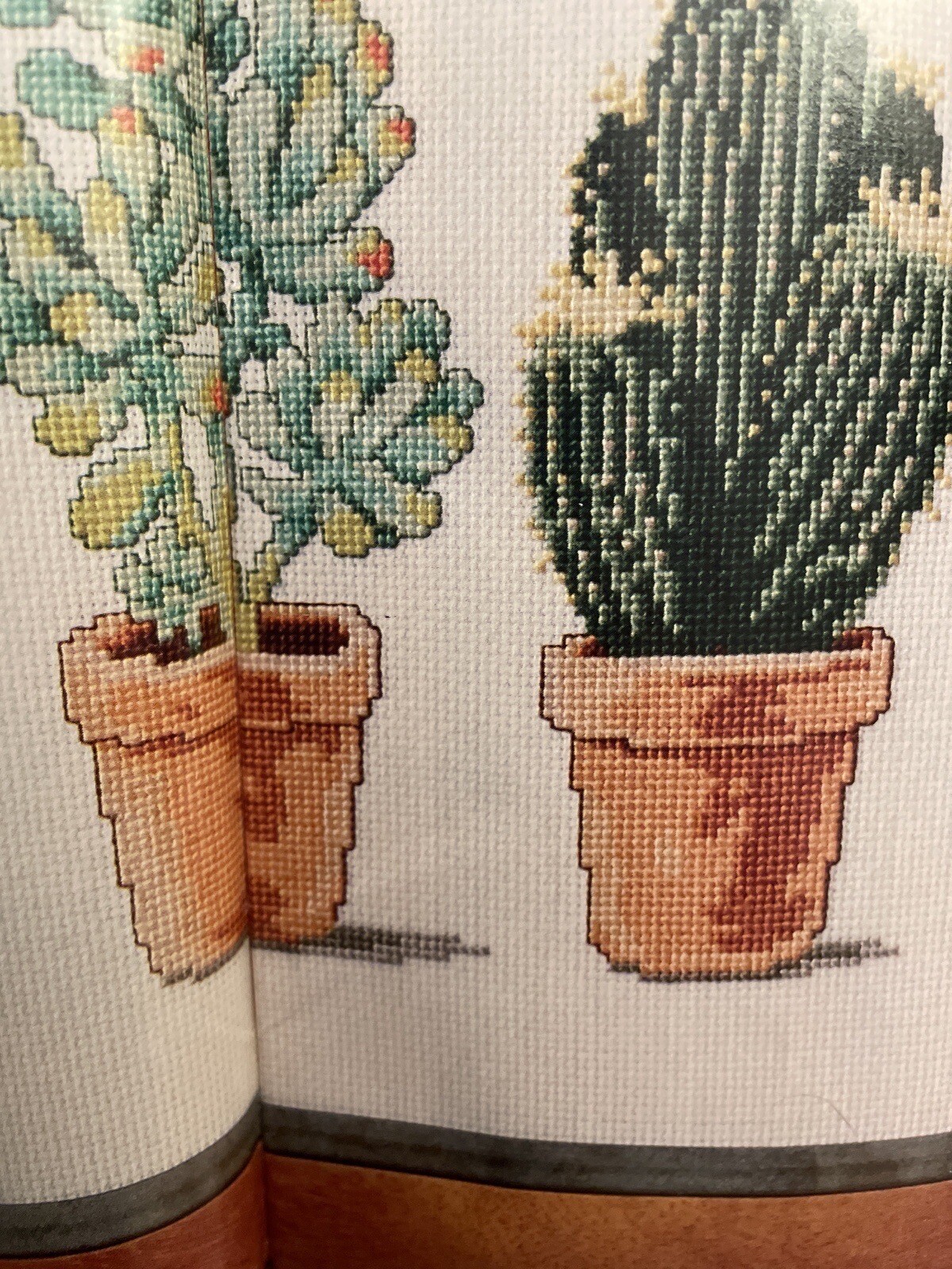 Picture 9 of 11