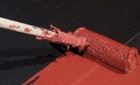 Foto 5 di 5