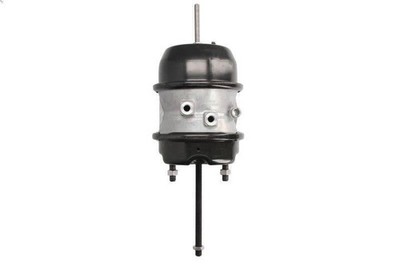 Multi-function Brake Cylinder WABCO 9253771210