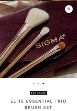 Sigma Beauty Elite Essential Brush Set with Makeup Case Can Double As A Clutch