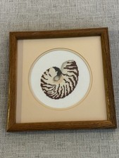 Vintage Nautilus Shell Needlepoint Framed 10x...
