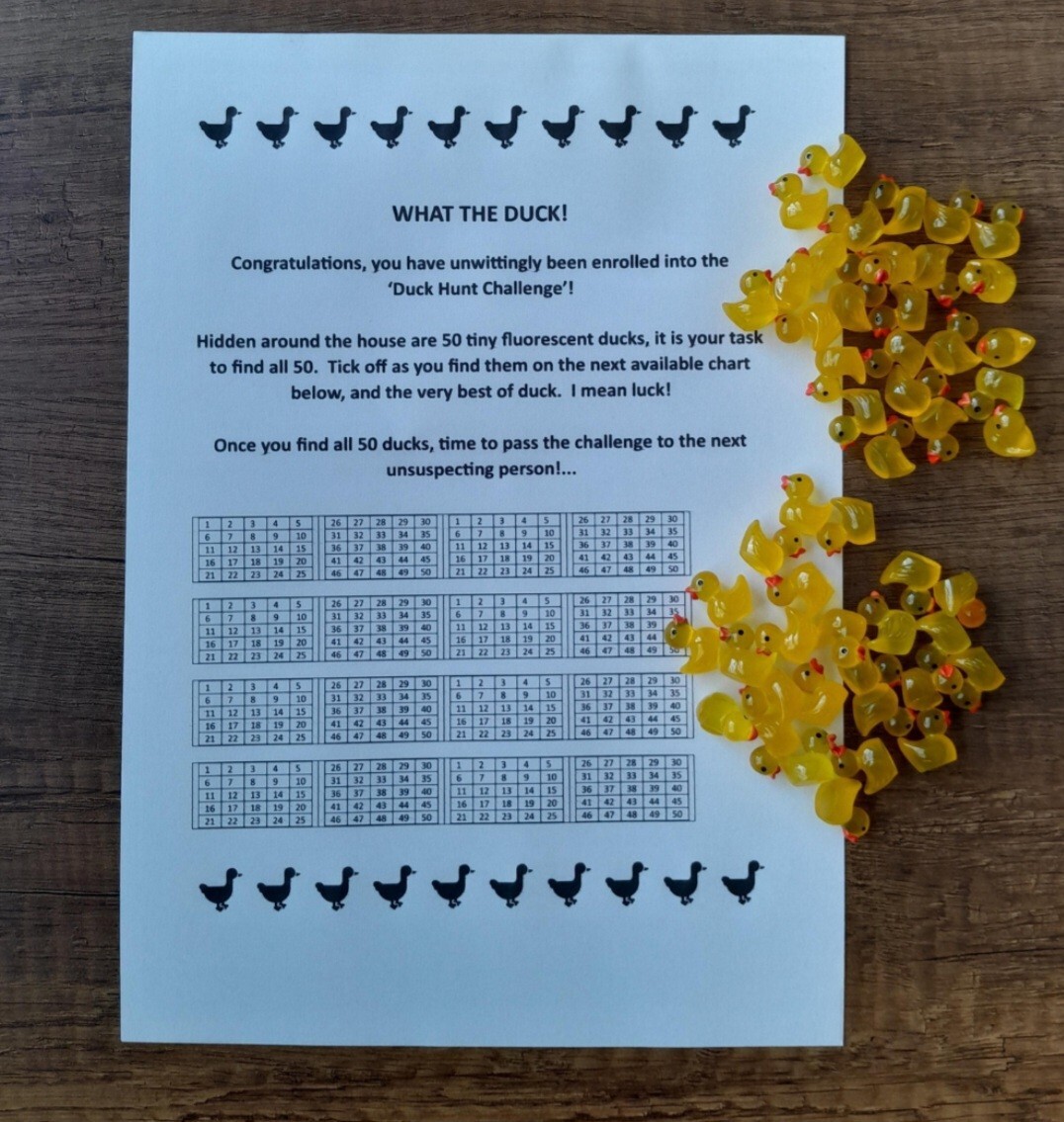 The '50 Mini Duck Challenge' Easter Hunt Game Kit Hide the ducks