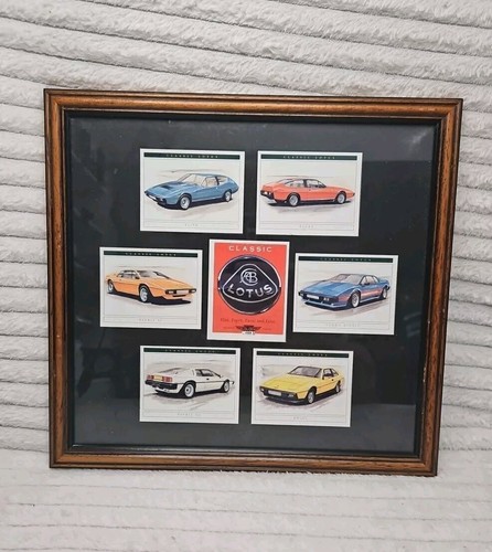 Colección de tarjetas con marco de vidrio de loto de la era dorada con reverso para leer ambos lados - Imagen 4 de 23