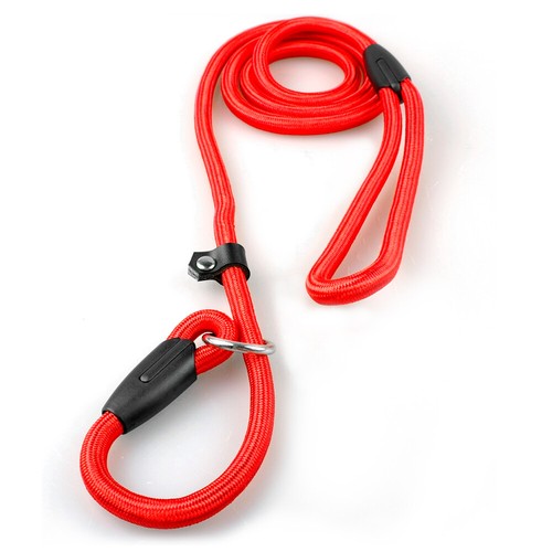 Dogs Slip Lead Small Medium Large Nylon Rope P Chock Collar Training Show Leash - Picture 11 of 16