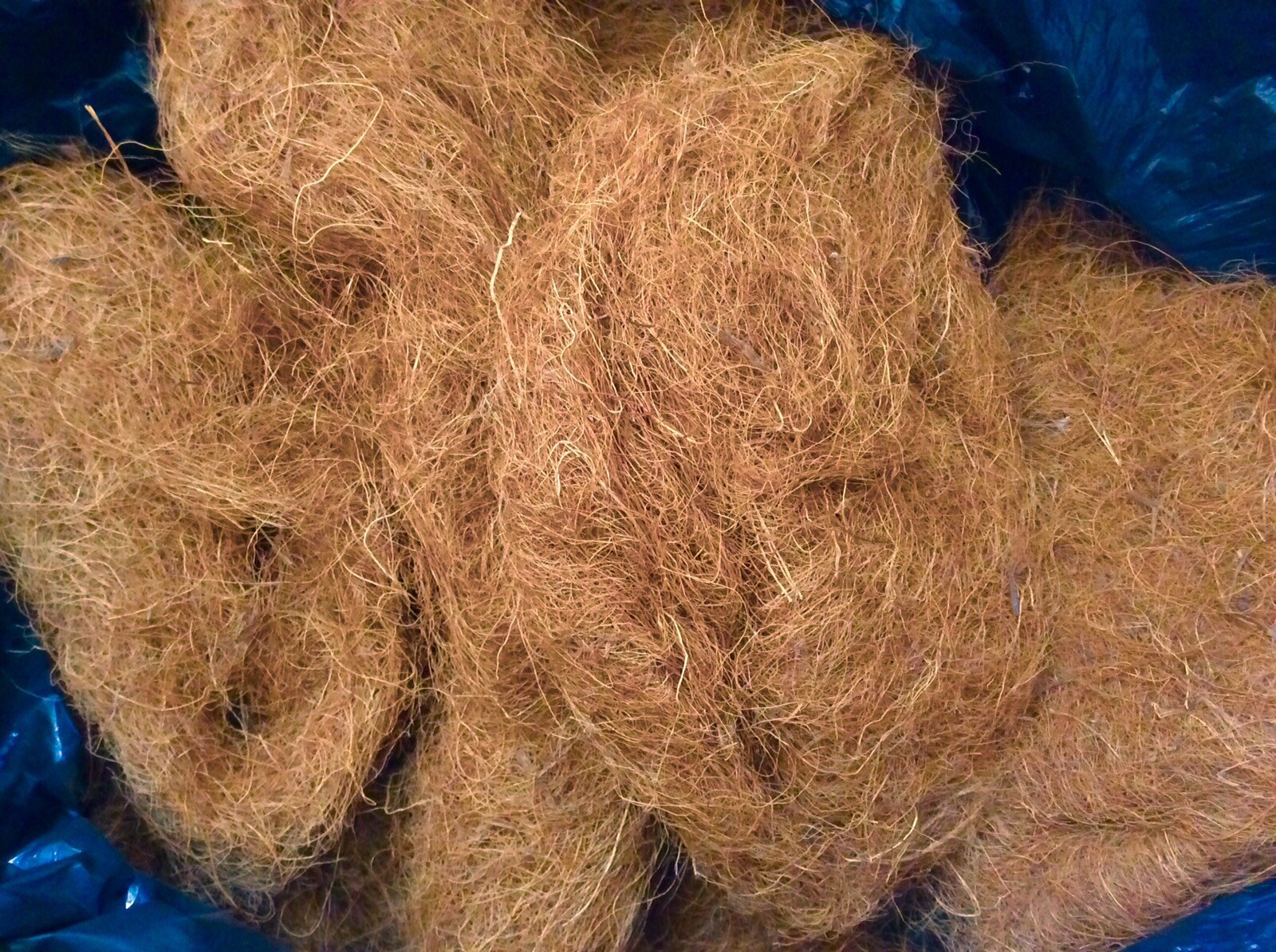 New! Upholstery Hair Filling Stuffing Ginger Coir Coconut Fibre Approx