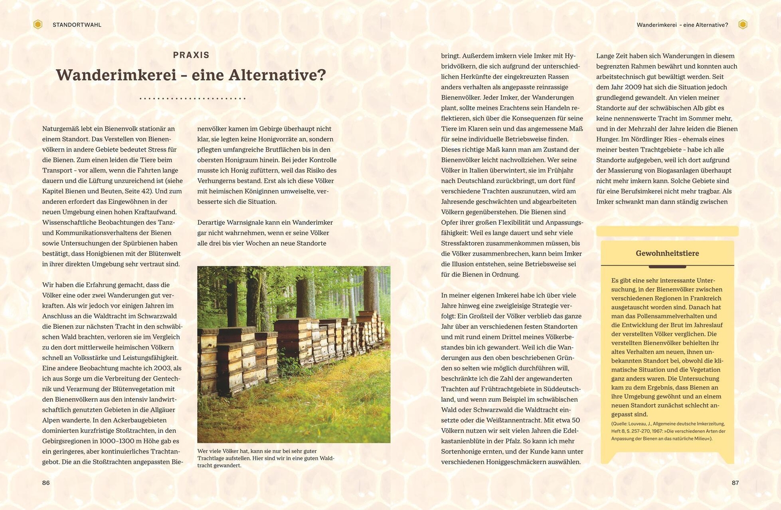 Thumbnail - Bienengemäß Imkern Günter Friedmann 9783835415447