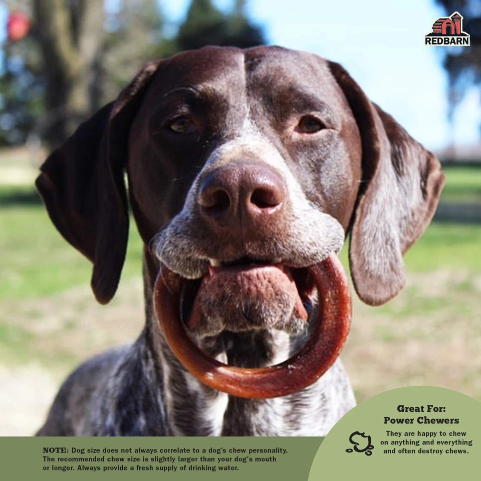 All-Natural 4" Bully Stick Rings for Dogs - Premium Grain-Free & Rawhide-Free... - Imagem 3 de 4