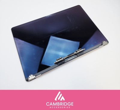 MacBook Pro A1707 15'' 2016 2017 Space Grau Display Einheit Bildschirm Schlecht