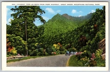 Vtg Linen Postcard Chimney Tops Newfound Gap Great Smoky Mountains, TN 1940s