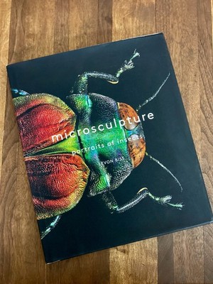 Microsculpture : Portraits of Insects by Levon Biss | Very Good Condition