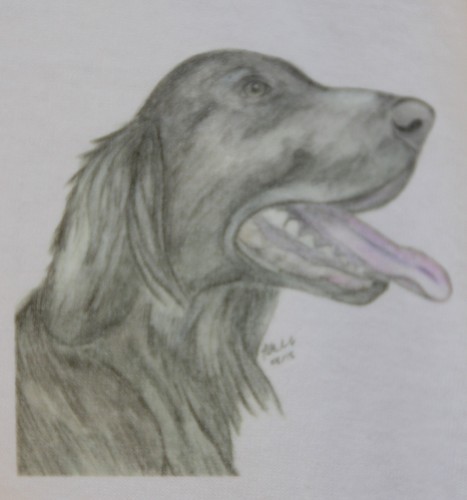 Curly & Flat Coated Retriever T-Shirts & Sweatshirts drawings sizes 3-6 mth-XXL - Picture 4 of 6