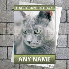Russian Blue Cat birthday card. 5x7 inches. Kitten. Personalised, plus envelope.