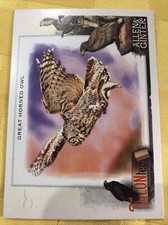 2023 Topps Allen and Ginter Talonted #TT-7 Great Horned Owl