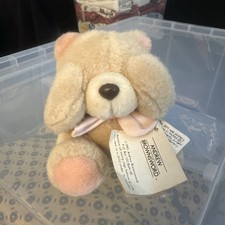 Andrew Brownsword Forever Friends Bear Plush Soft Toy Collectible (item no 117)