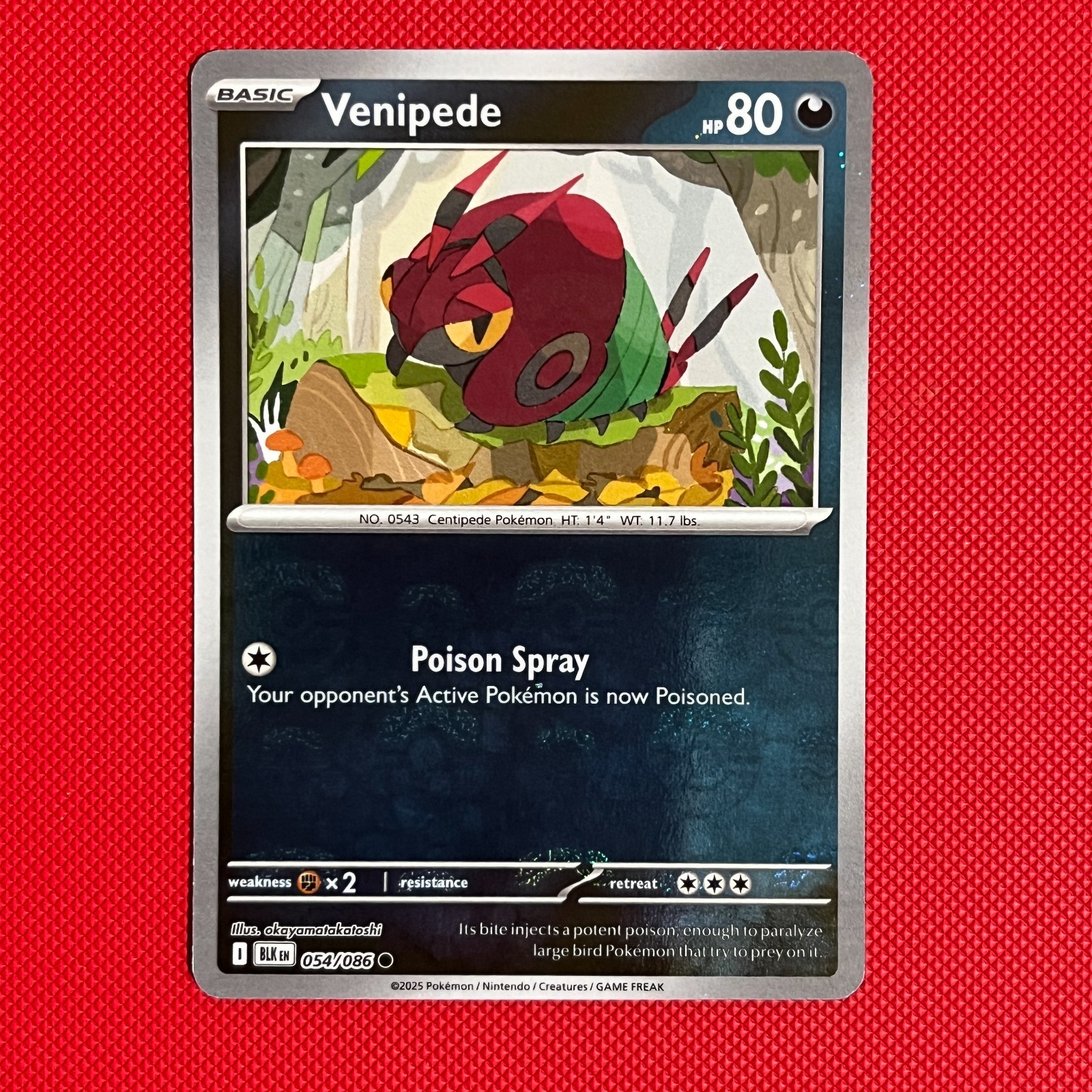 Venipede 054/086 Master Ball Reverse Holo - Pokemon Card - SV: Black Bolt - NM