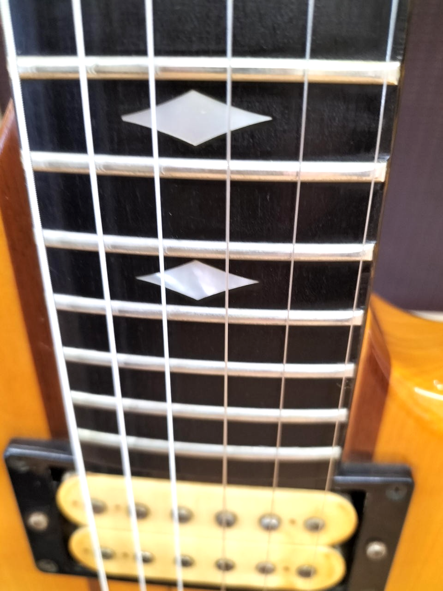 Aria ProⅡ Tri-Sound Series TS-800 Vintage Guitar Natural Thru