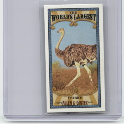 2021 Topps Allen & Ginter #MWL-21 Ostrich - Worlds Largest - 11737