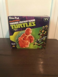 chia turtle