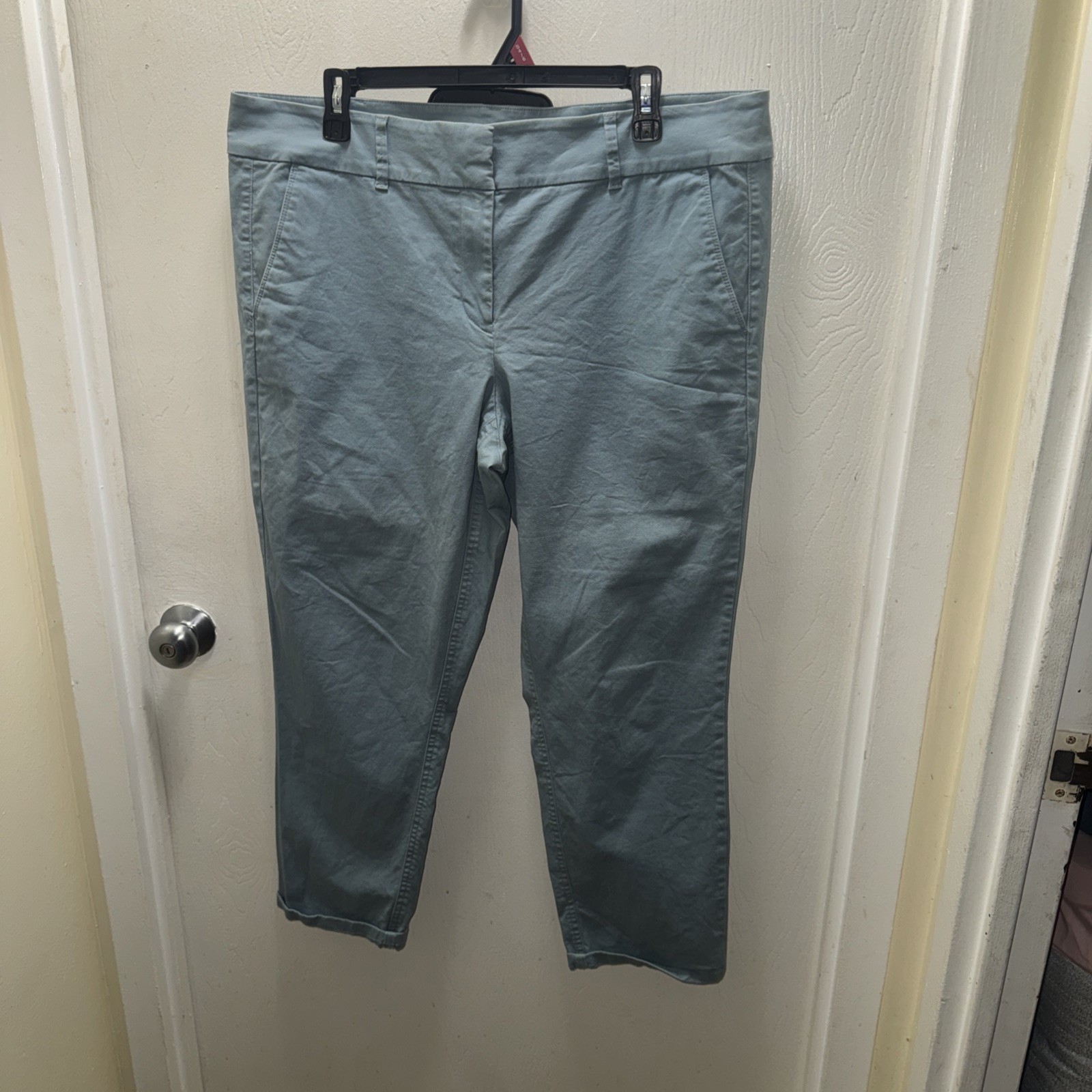 Loft Light Blue Modern Chino Crop Pants Size 14