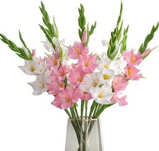 6Pcs Artificial Gladiolus Flowers White and Pink Fake Gladiolus Flowers Silk ...