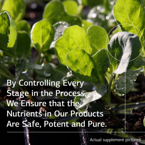 Standard Process Congaplex (Chewable) Whole Food RNA Supplement, 90 Tabs - Picture 5 of 6