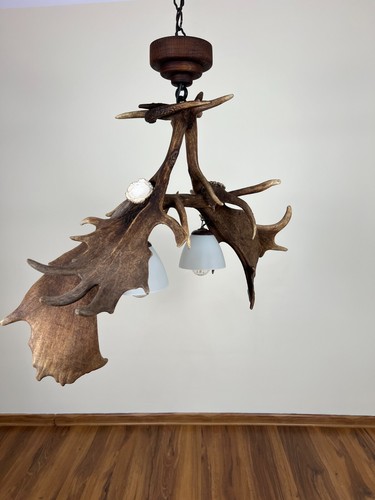 Real Antler Chandelier 3 light bulbs - Picture 6 of 7