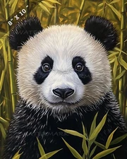 8x10 Matte Print Panda Portrait in Black and White Fuzzed Effect