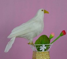 new simulation pigeons toy foam furs peace dove doll gift about 30cm