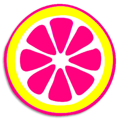 Pink Yellow Citrus Slice - 10 Pack Circle Stickers 3 Inch - Grapefruit Lemonade