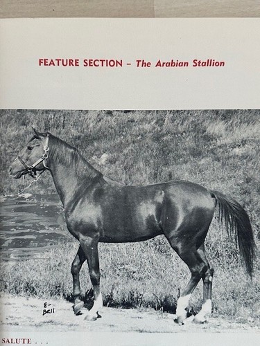 Lot of 2 Arabian Horse News Stallion Issues Jan-February 1961 & February 1963 - Picture 4 of 22