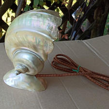 Original Antique Vintage Art Nouveau Nautilus Table Lamp Iridescent Shell Crack