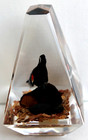 Vintage Hand Carved Painted Blackbird Lucite/Acrylic Unique Canada Paperweight — photo 4
