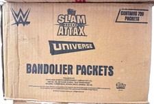 2010 Topps WWE Slam Attax Mayhem 13