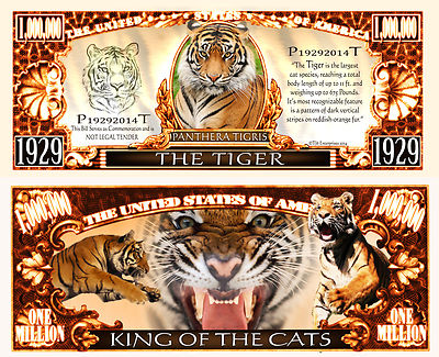 The Tiger Bill 1 Million US Dollar! Animal Collection Asia Feline | eBay UK