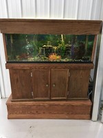 50 GALLON AQUARIUMS WITH FISH