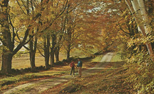 Couple Building Memories under Fall Foliage Sea Girt NJ Chrome Vintage Post Card