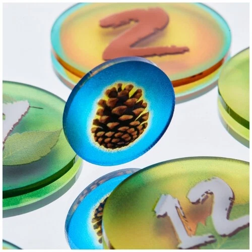 Token and Markers - Photosynthesis Token Set - englisch