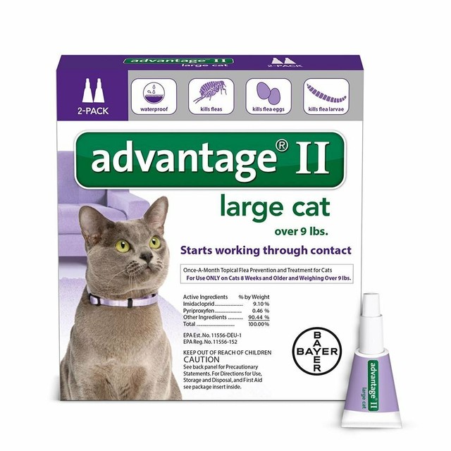 Advantage II Flea Control Large Cat over 9lbs for sale online eBay